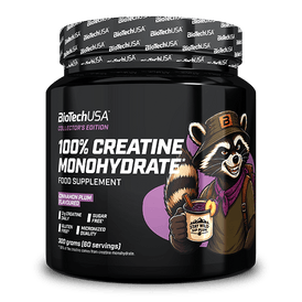 100% Creatine monohydrate - 300 g Cinnamon plum - BioTechUSA Slovakia