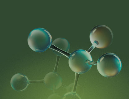 Bioaktívne vitamíny skupiny B