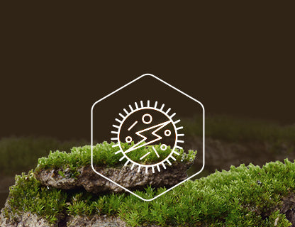 Nikotínamid-ribozid-chlorid, zdroj energie pre bunky