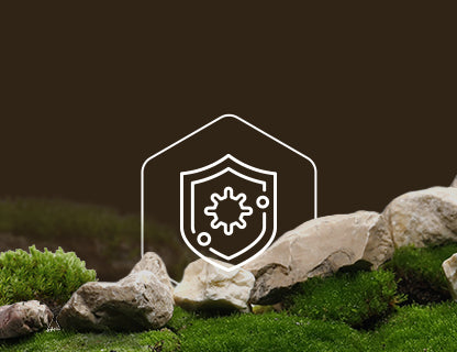 Selén, imunitný štít