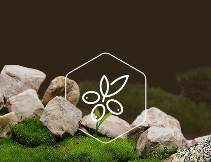 CyanthOX™50, super rastlinný extrakt