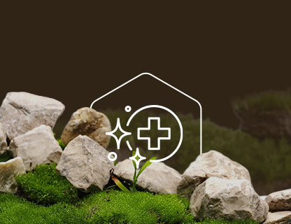 Trans-resveratrol, sila polyfenolov