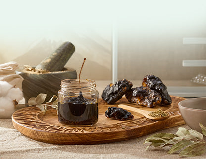 Harmónia tradície a inovácií